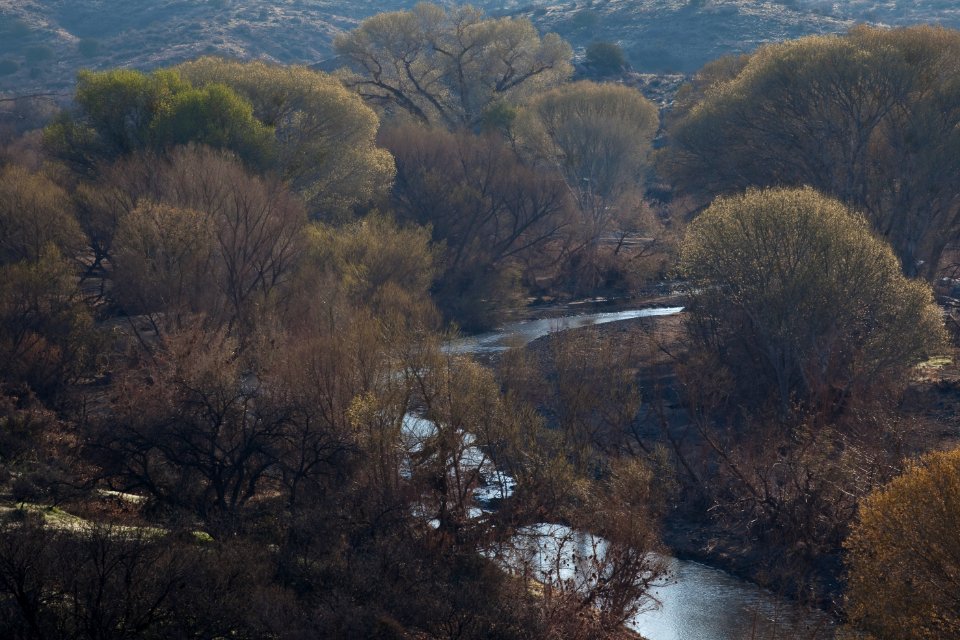 Agua Fria National Monument (26091167574)