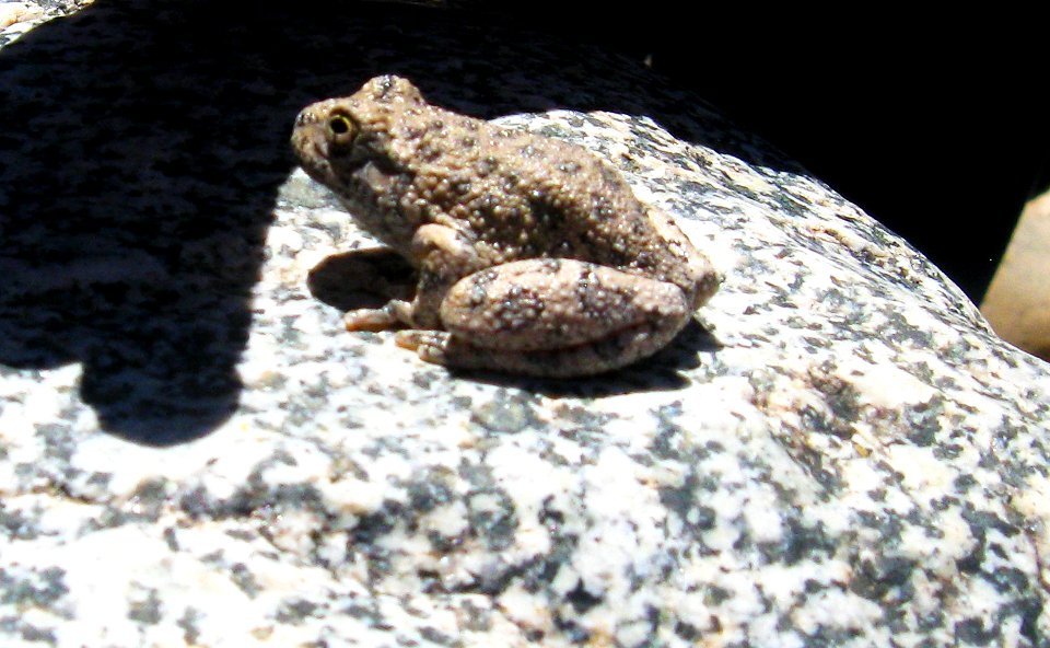 Agua Fria National Monument (26907481736)