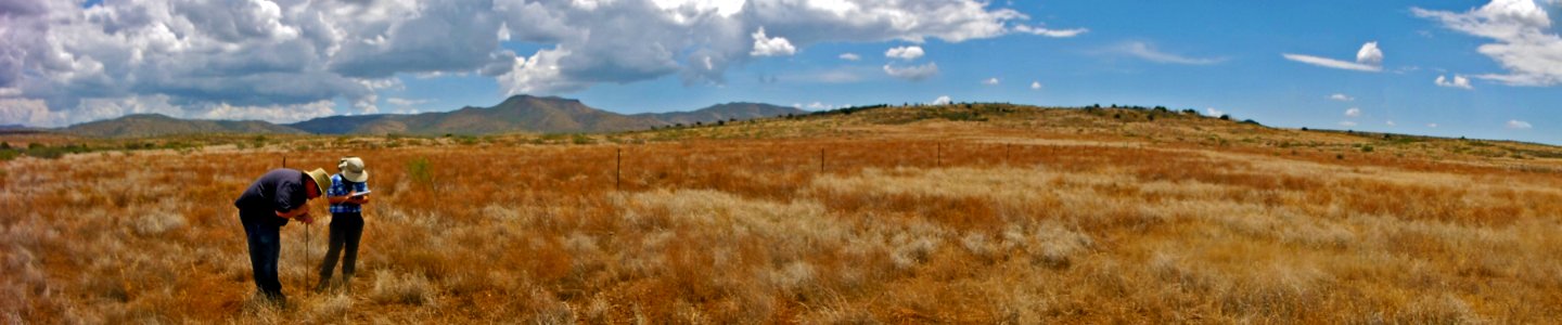 Agua Fria National Monument (26336466083)
