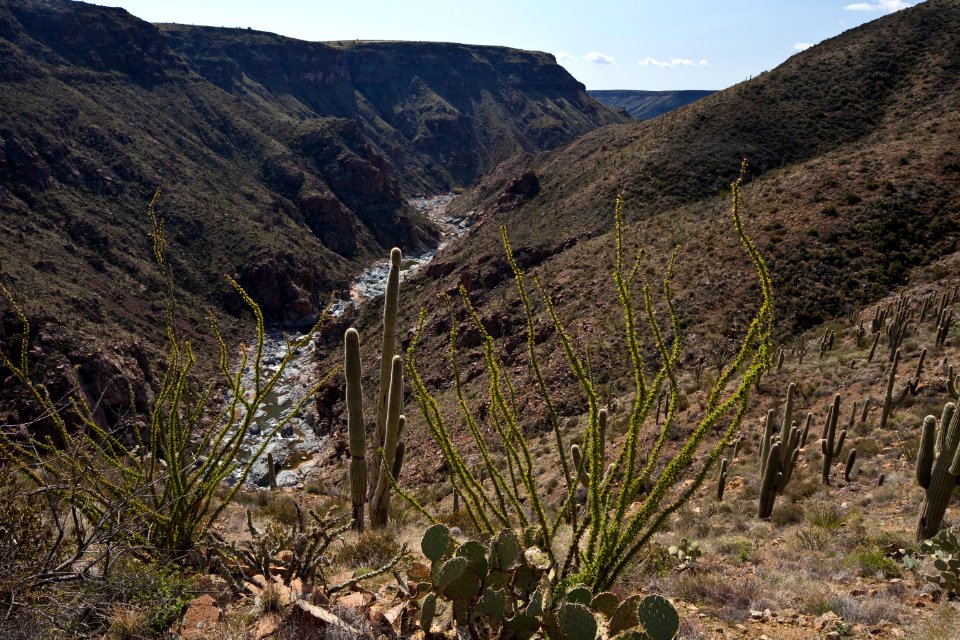 Agua Fria River (26424035310)
