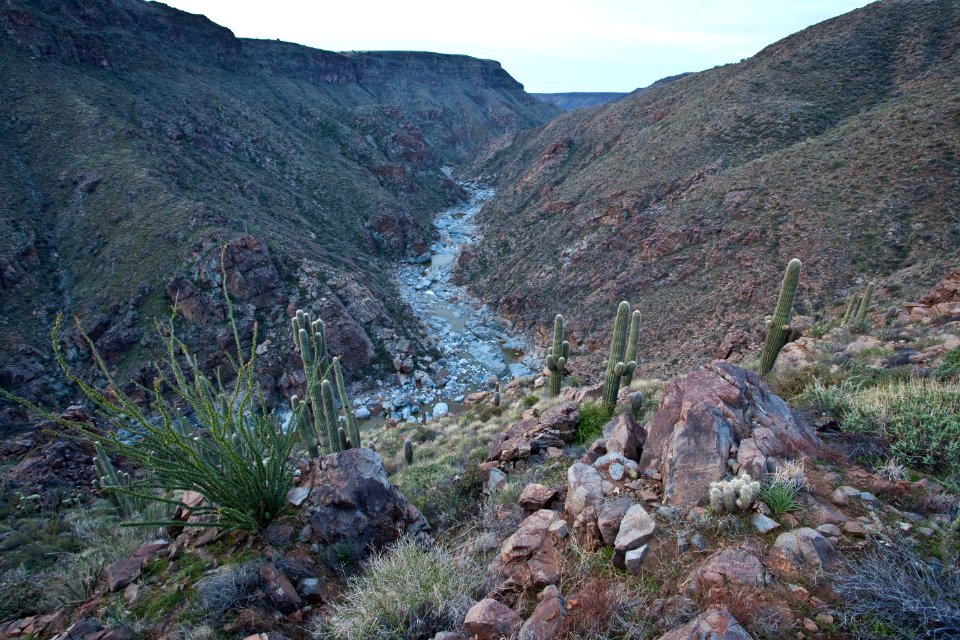 Agua Fria River (26670073406)