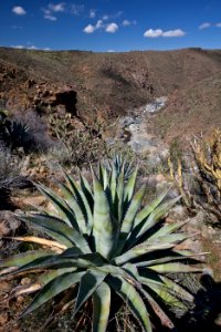 Agua Fria National Monument (26423851950)