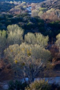 Agua Fria National Monument (26423977570) photo