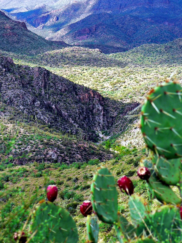 Agua Fria National Monument (26476352943)