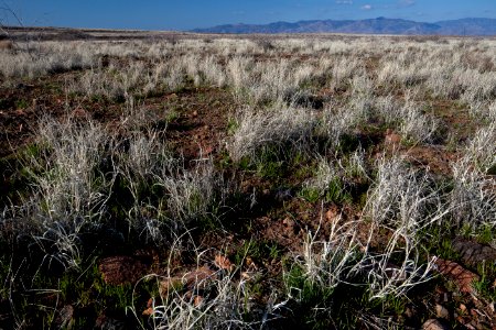 Agua Fria National Monument (26630777941)