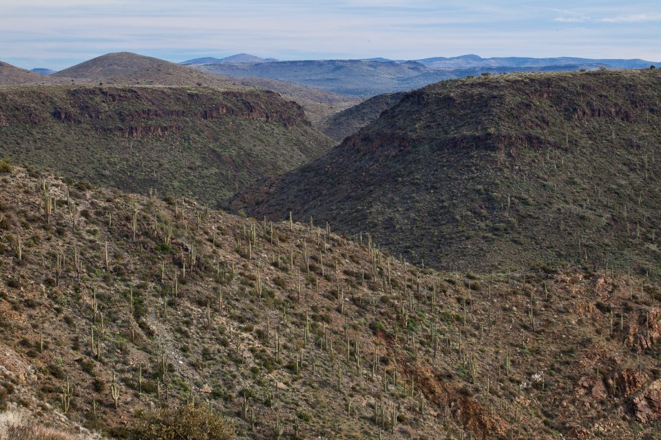 Agua Fria National Monument (26630705991)