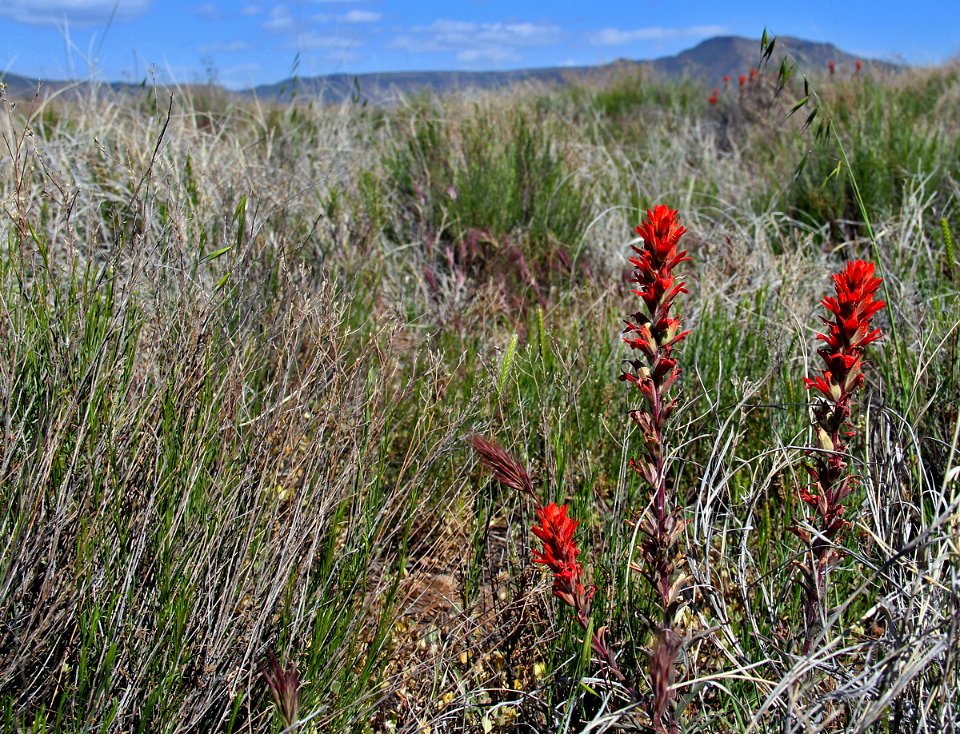 Agua Fria National Monument (26667639630)