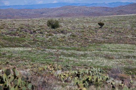 Agua Fria National Monument (26670231346) photo