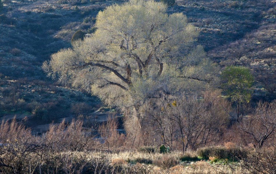 Agua Fria National Monument (26696883165)