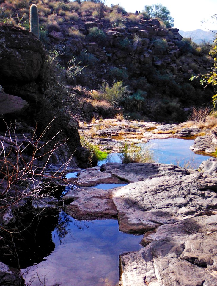 Agua Fria National Monument (26843899732)