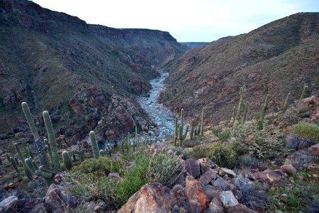 Agua Fria River (26423863800) photo