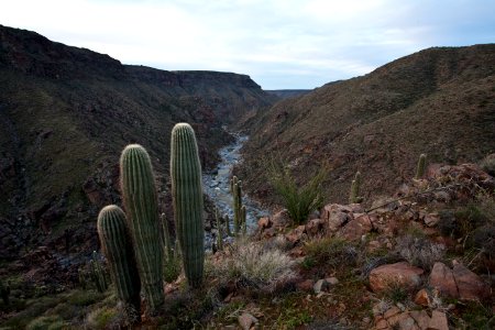 Agua Fria River (26670082166) photo