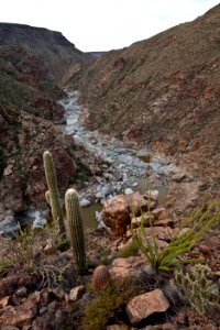 Agua Fria River (26423877150)
