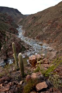 Agua Fria River (26423877150) photo