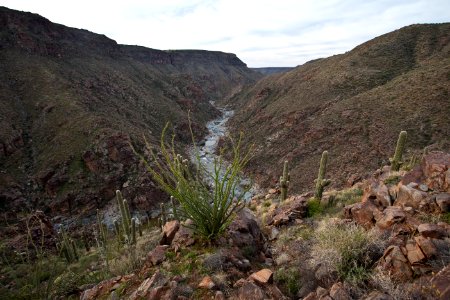 Agua Fria River (26670087576) photo