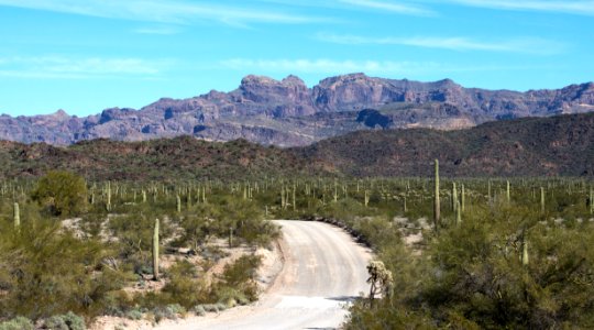 Ajo Mountain Drive Starting Point (12597484243) photo