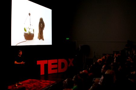 Alan Schaaf, Imgur Founder, in Wellington for TEDxWellington & more (15121986385)