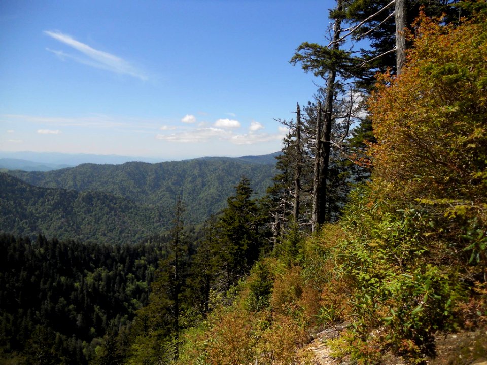 Alum Cave Trail heading towards Mt. LeConte (40120174442)