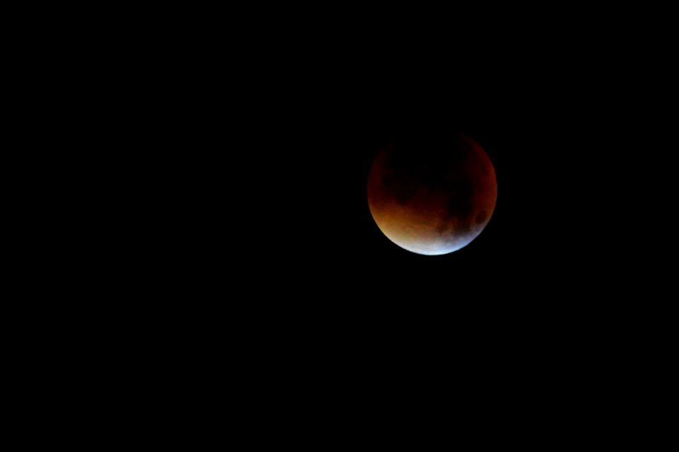 Allmost blood (21775379885)