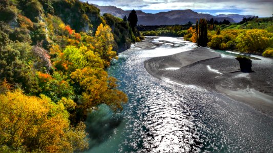 Along the Shotover River. (51023603388)