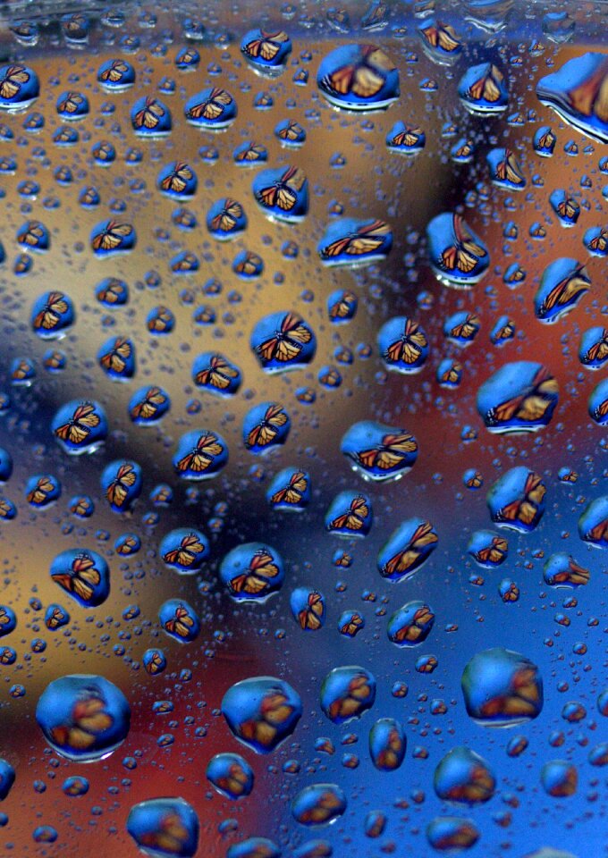 Reflection water rain