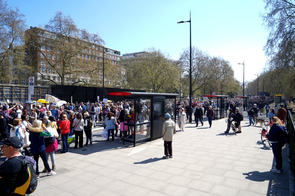 Anti-Lock Down Protest London (51136381127)