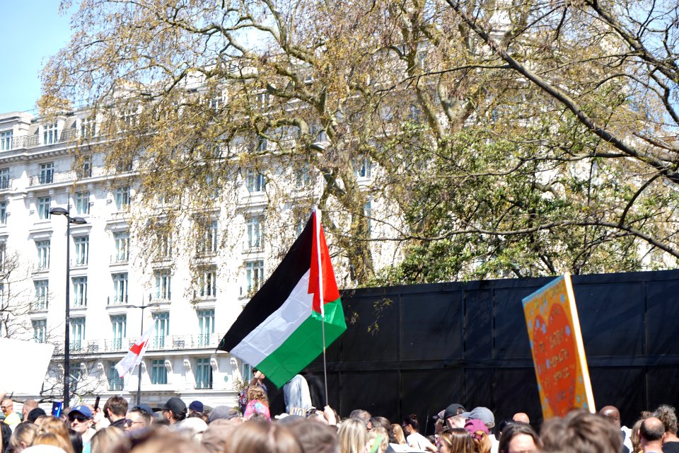 Anti-Lock Down Protest London (51137831789)