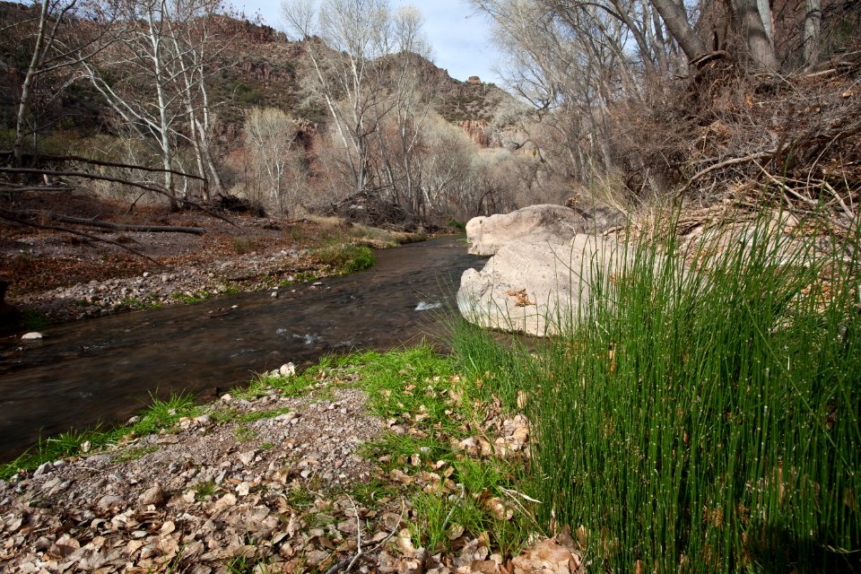 Aravaipa Canyon Wilderness Area (26093327763)