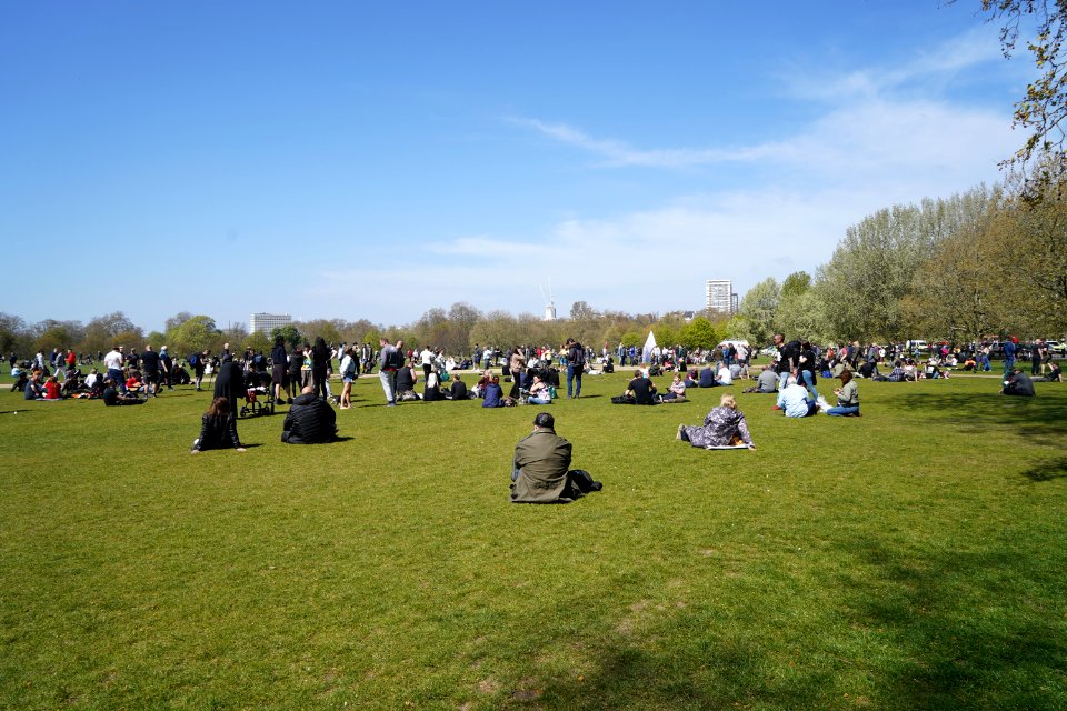 Anti-Lock Down Protest London (51138163800)