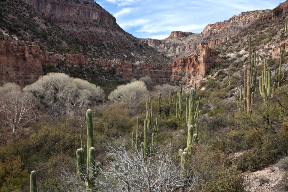 Aravaipa Canyon Wilderness Area (26631263431)