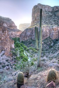 Aravaipa Canyon Wilderness Area (26091525464)