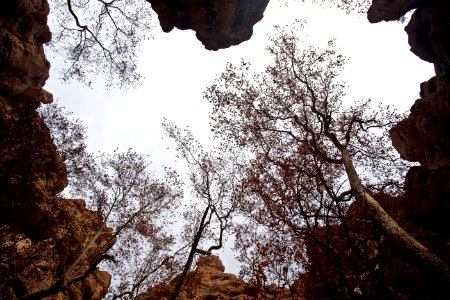 Aravaipa Canyon Wilderness Area (26093338263)