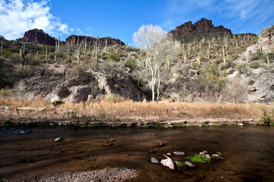 Aravaipa Canyon Wilderness Area (26093393423)