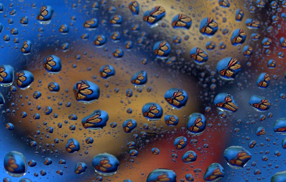 Reflection water rain