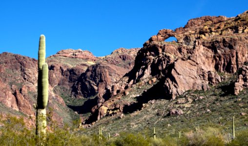 Arch Canyon and Saguaro (12597479073)
