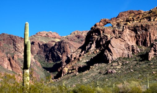 Arch Canyon and Saguaro (12597479073) photo