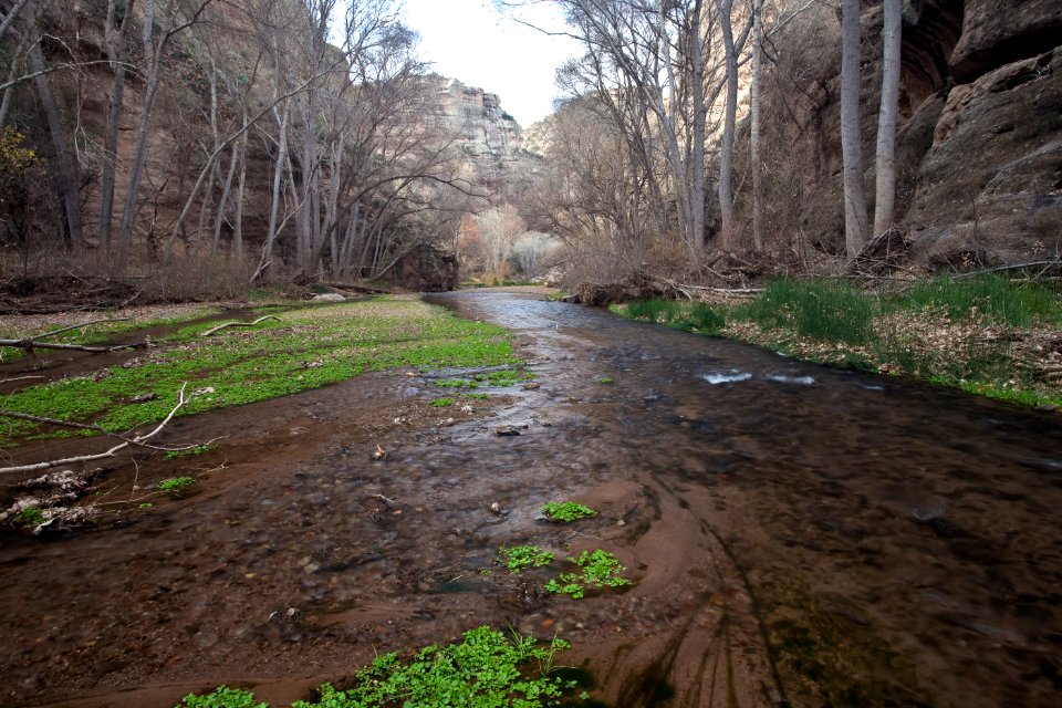Aravaipa Canyon Wilderness Area (26670632746)