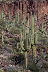 Aravaipa Canyon Wilderness Area (26670679686)