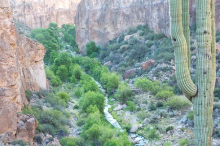 Aravaipa Canyon Wilderness Area (26697290075)
