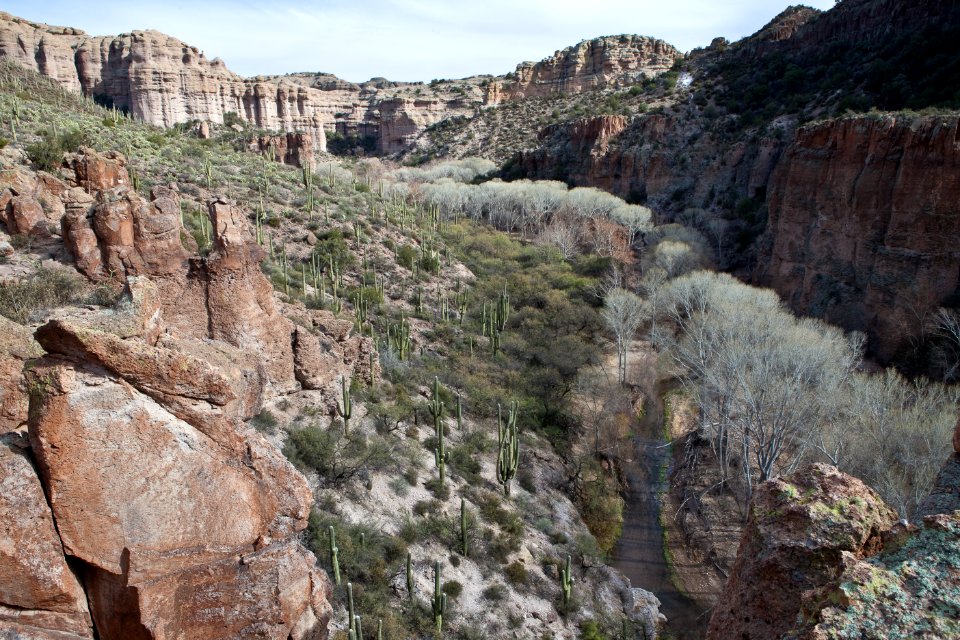 Aravaipa Canyon Wilderness Area (26697383335)