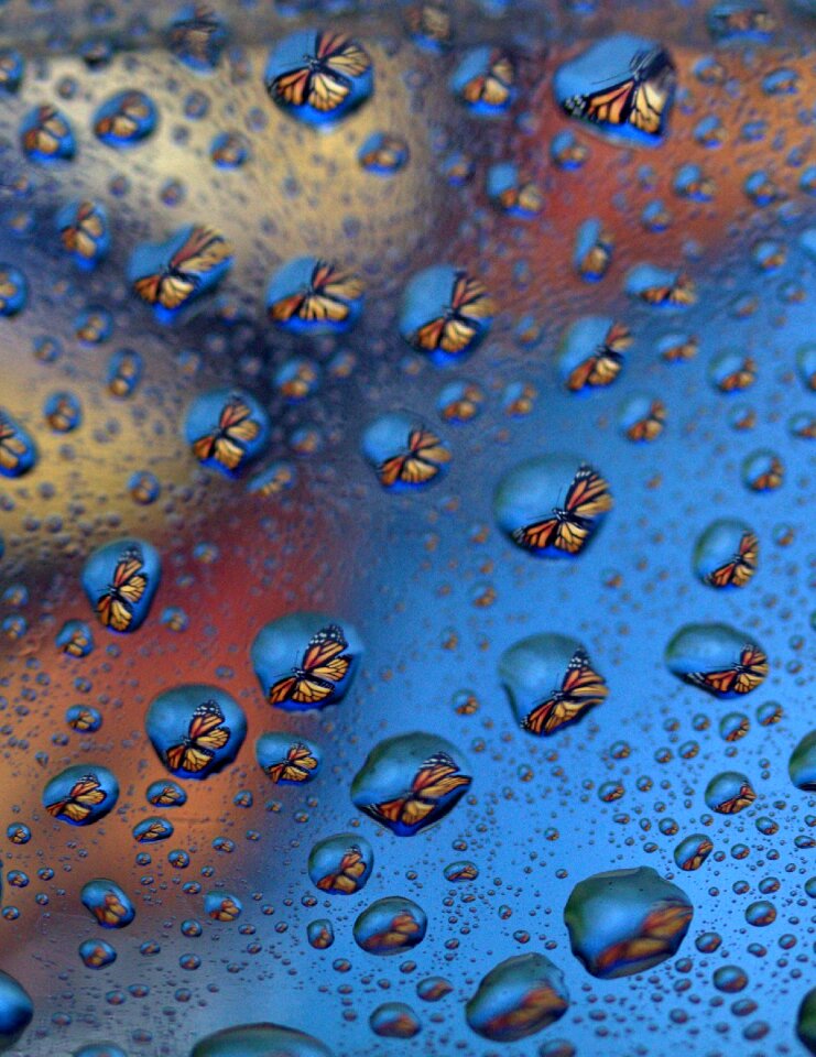 Reflection water rain