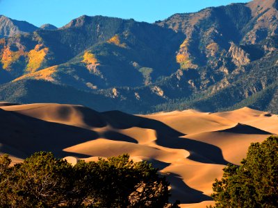 Aspen Groves Above Dunes Turning Gold (43775304405) photo