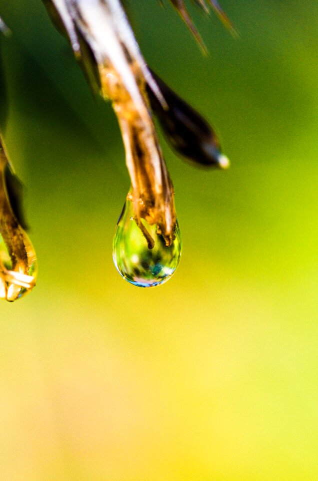 Drip mirroring reflection