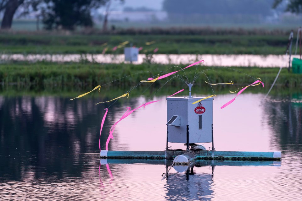 Automatic Fish Feeder (51372009281)