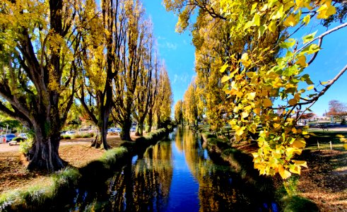 Autumn on the Avon. (51157649829)