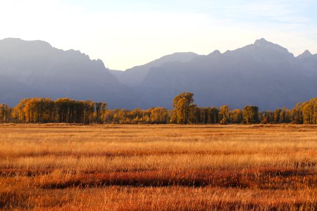Autumn on the National Elk Refuge (51549277421)