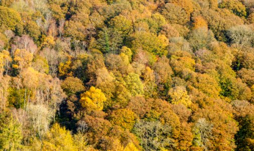 Autumn, Ddol area, N Wales, UK, 2019. (49043830477)