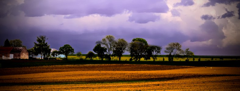 Barns and trees (48043129198)