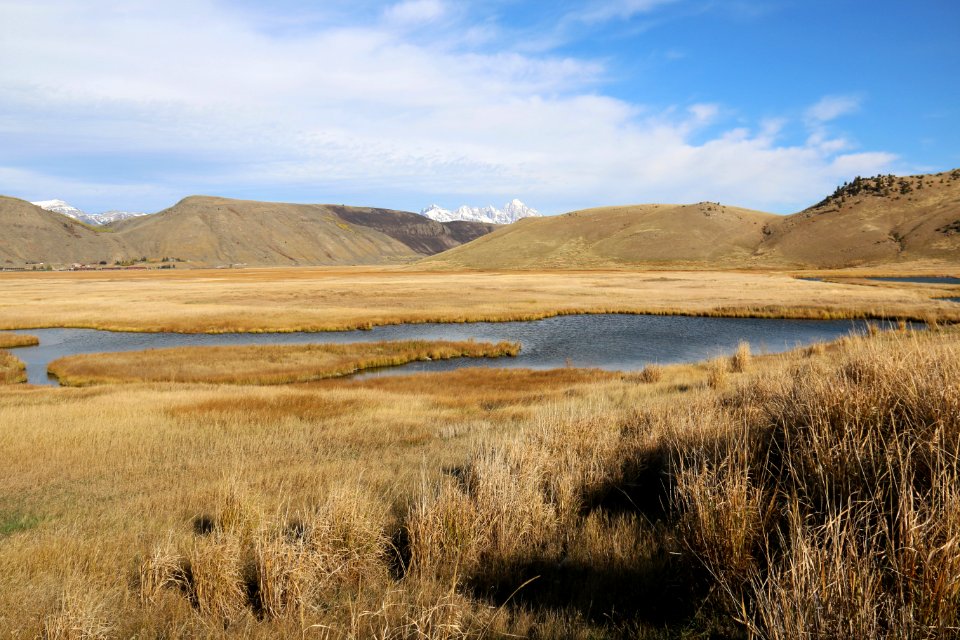 Autumn on the National Elk Refuge (48908112453)