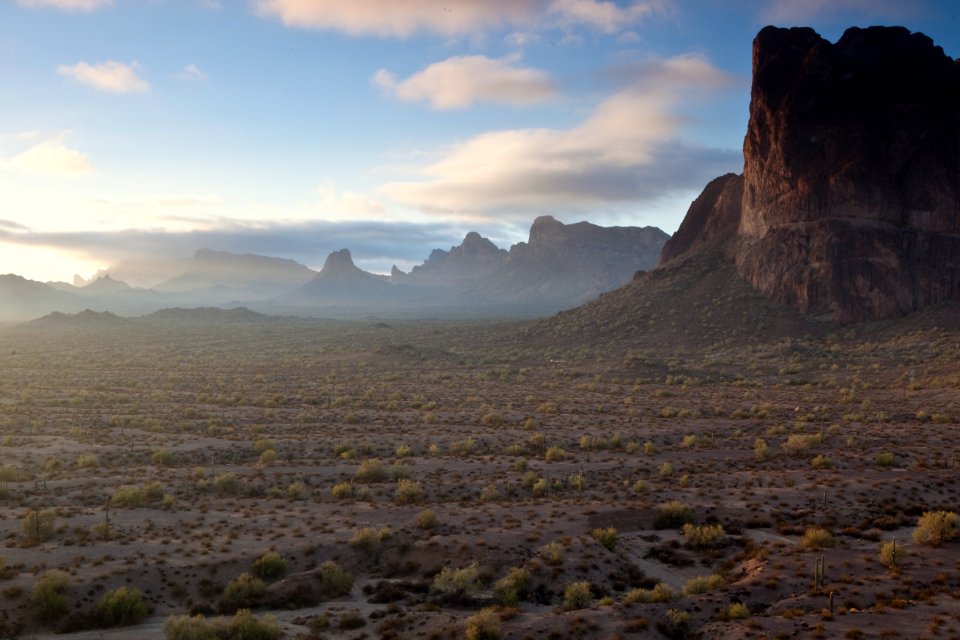Az eagletail-6457 (26671157506)